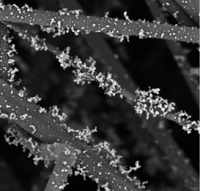 Obraz z mikroskopu elektronowego filtra włókninowego z osadzonymi na jego włóknach fraktalnymi depozytami krzemionki odseparowanej z powietrza.